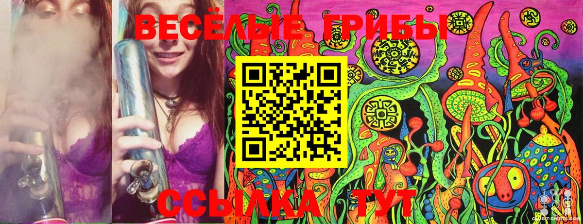 Псков  Псилоцибиновые грибы Psilocybe  Вход с VPN 